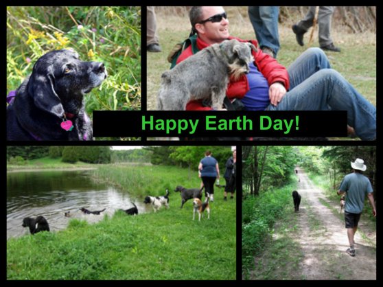 Earth day Collage